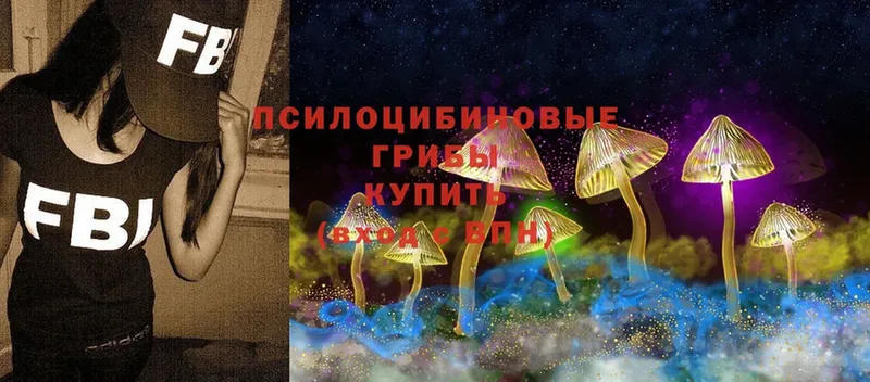 Галлюциногенные грибы Psilocybe  Гаврилов Посад 